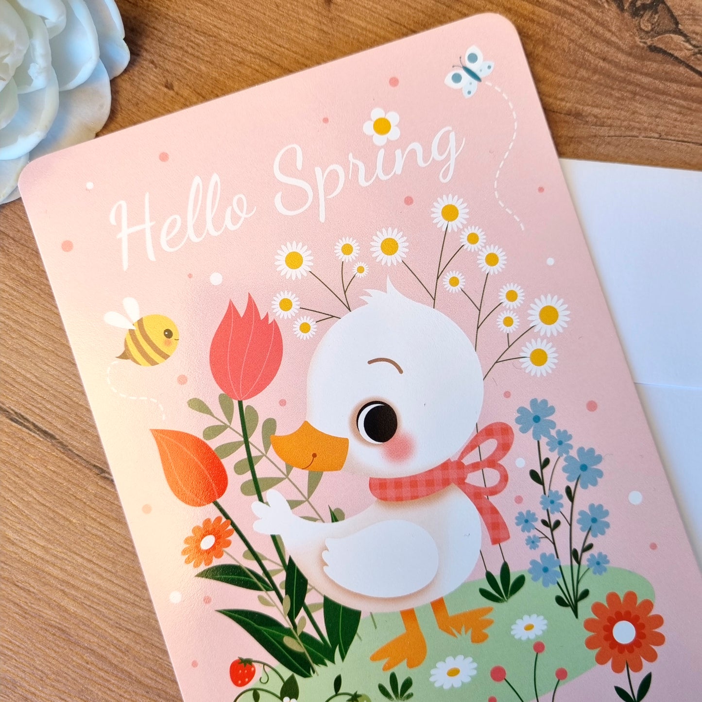 CARTE - HELLO SPRING
