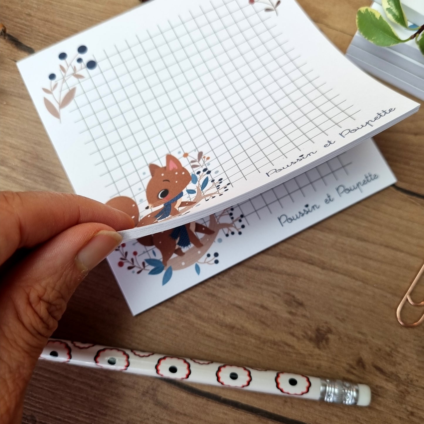 BLOC CARRE A6 - HIVER ECUREUIL