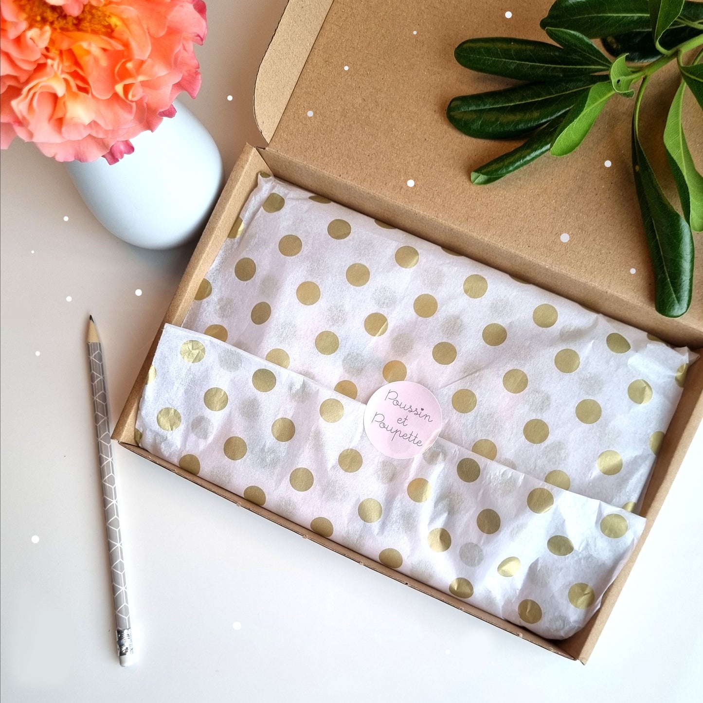 COFFRET CADEAU/MERCI-CHATS ET PLANTES