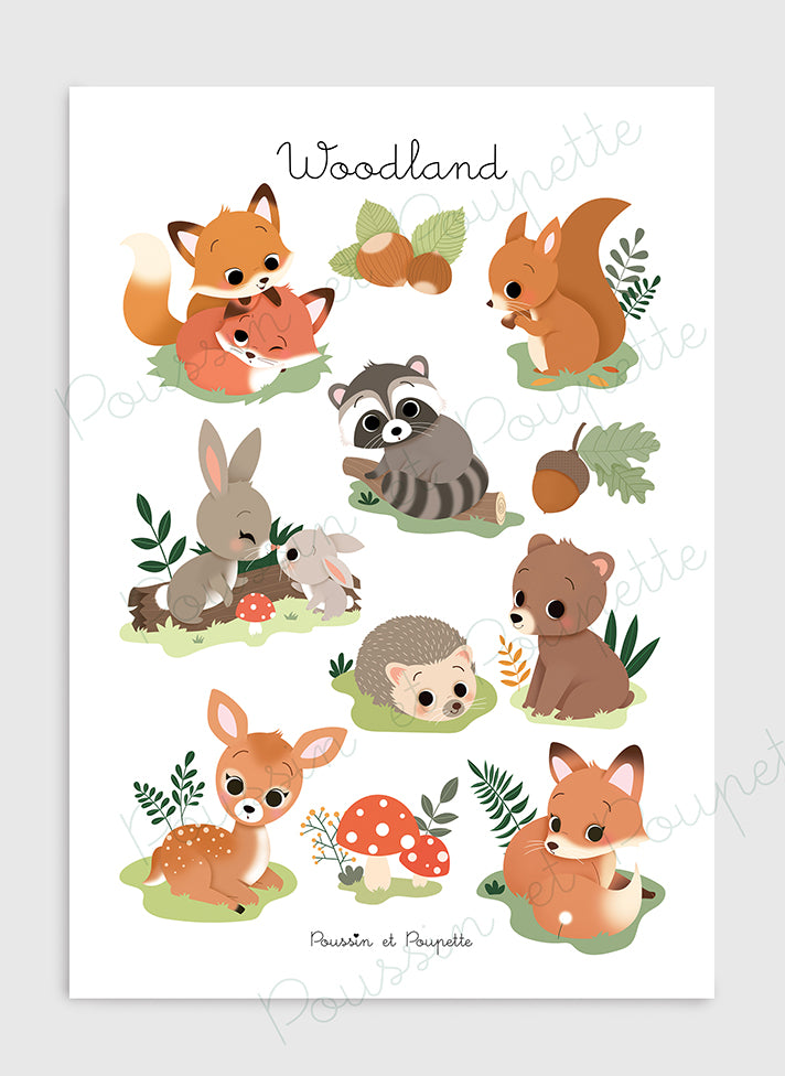 AFFICHE - WOODLAND