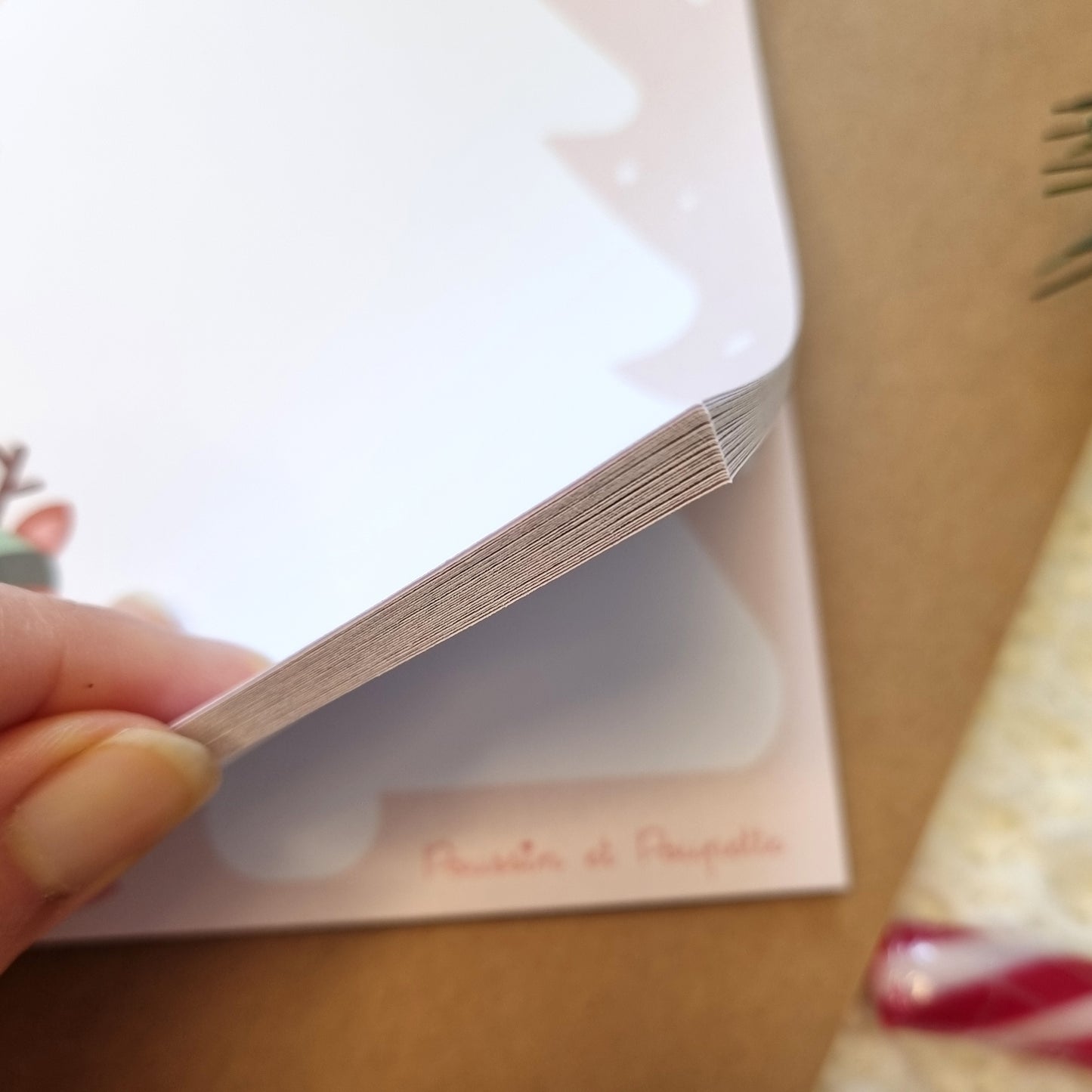 BLOC A6 NOEL - PETIT RENNE