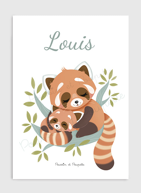 AFFICHE - PANDA ROUX Fond blanc