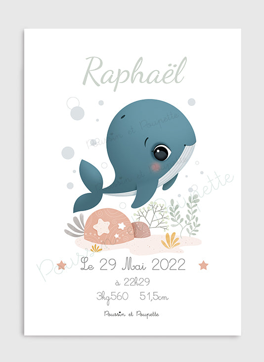 AFFICHE - NAISSANCE BALEINE