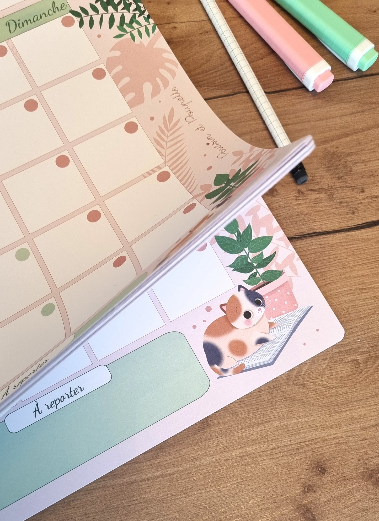 PLANNER MENSUEL A3 - CHATS ET PLANTES