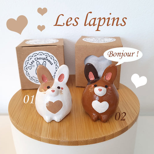 LES LAPINS CHOUPINOUS