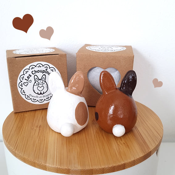 LES LAPINS CHOUPINOUS