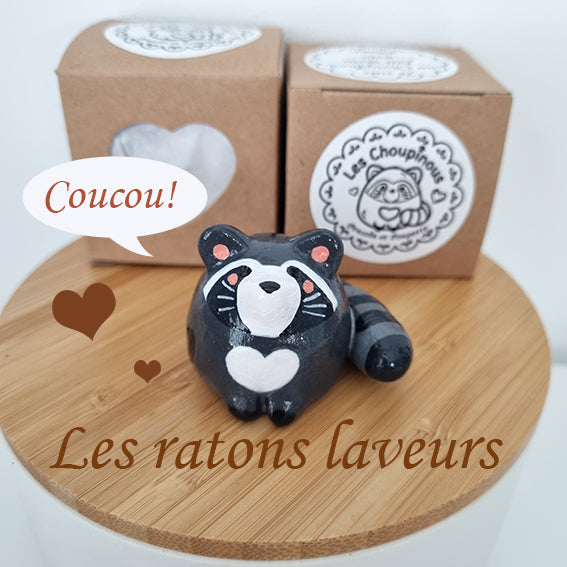 LE RATON LAVEUR CHOUPINOU