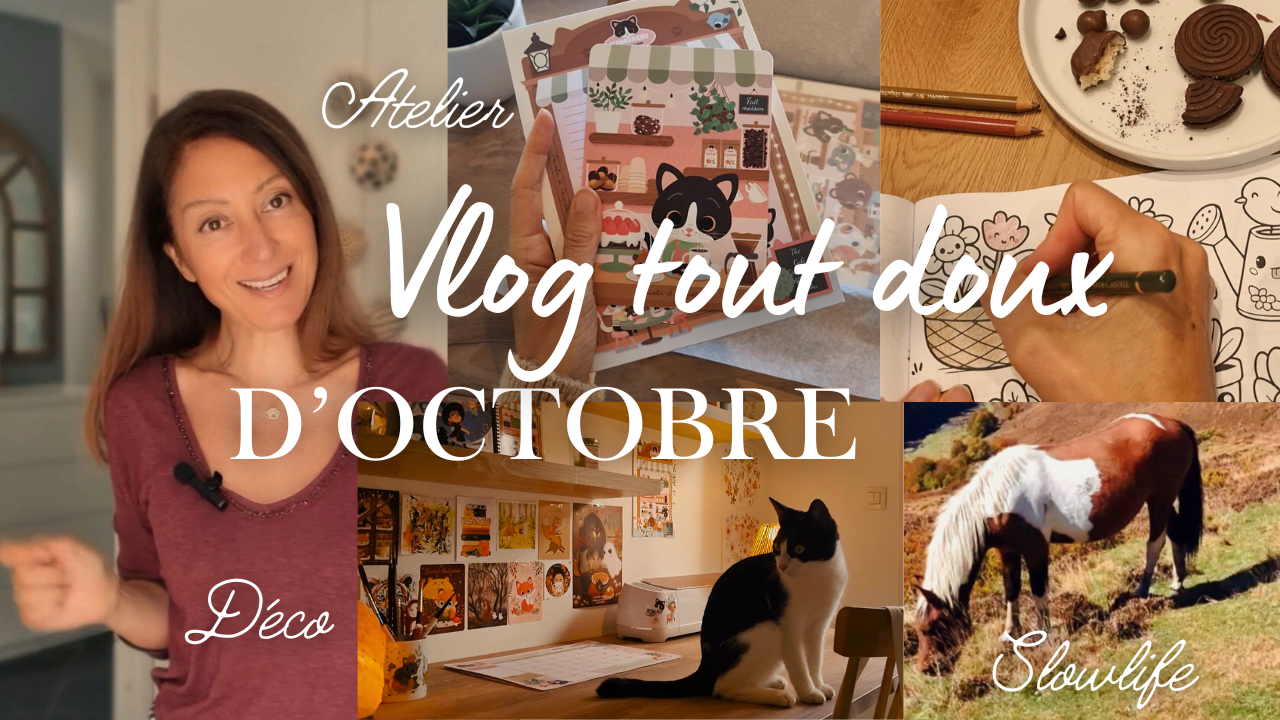 Charger la vidéo : 