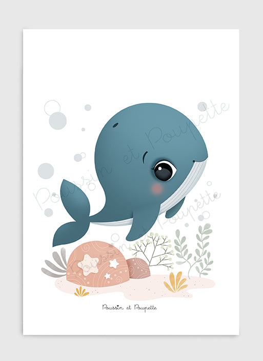 AFFICHE - BALEINE